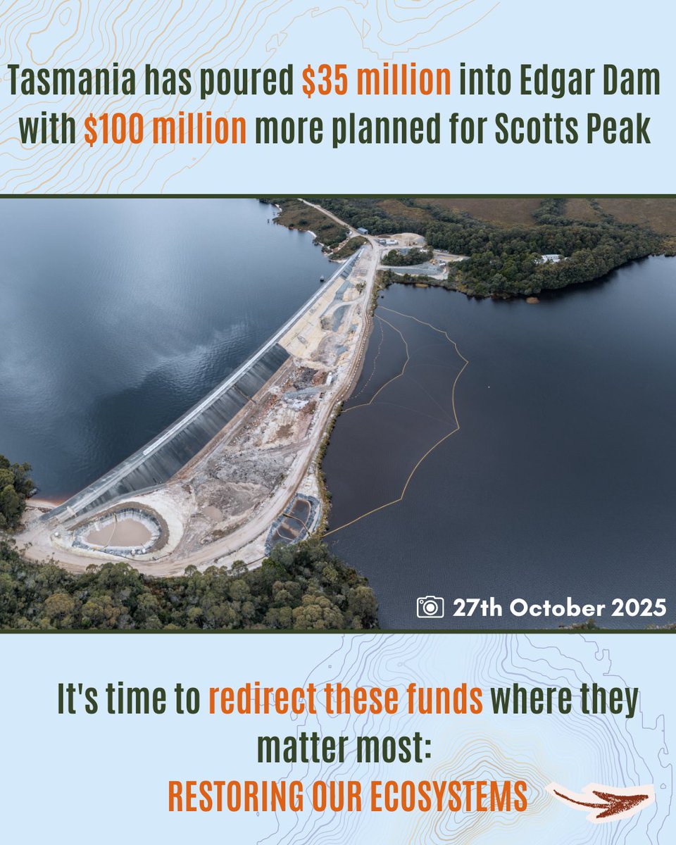 RestorePedder tweet media