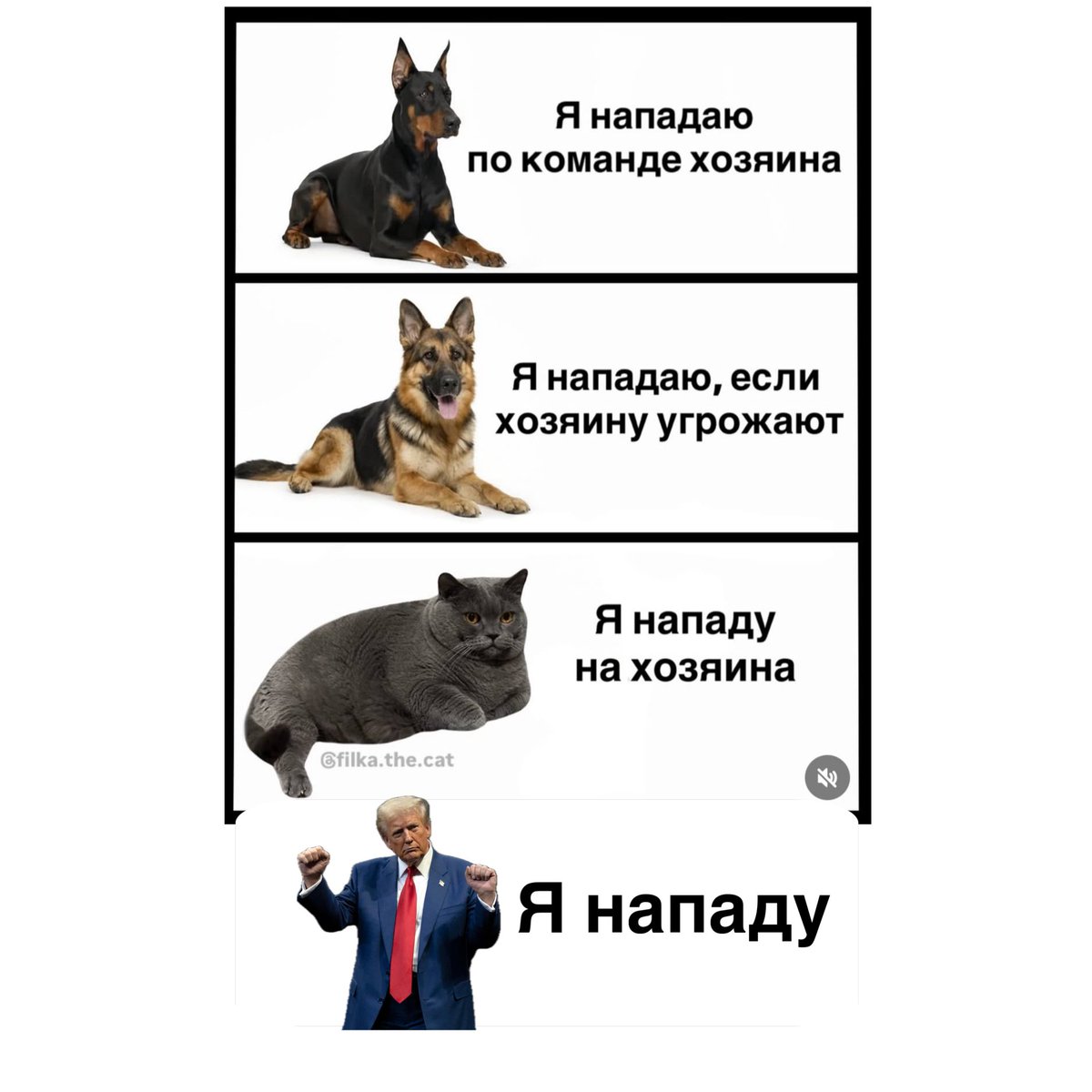 algoldenberga's tweet image. Сделал вам мем по мотивам ожидания