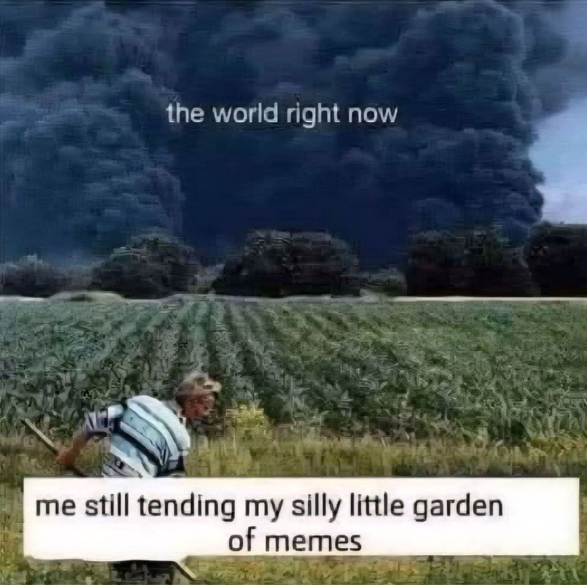 faux_jazzy's tweet photo. let it grow, let growwww! #memes #geopolotics #darkhumor #cope #happiness https://t.co/NSuiICLJxK