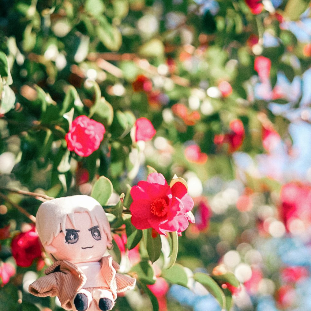 いつまでもキラキラしていたいから #中島健人 #おけんとさま