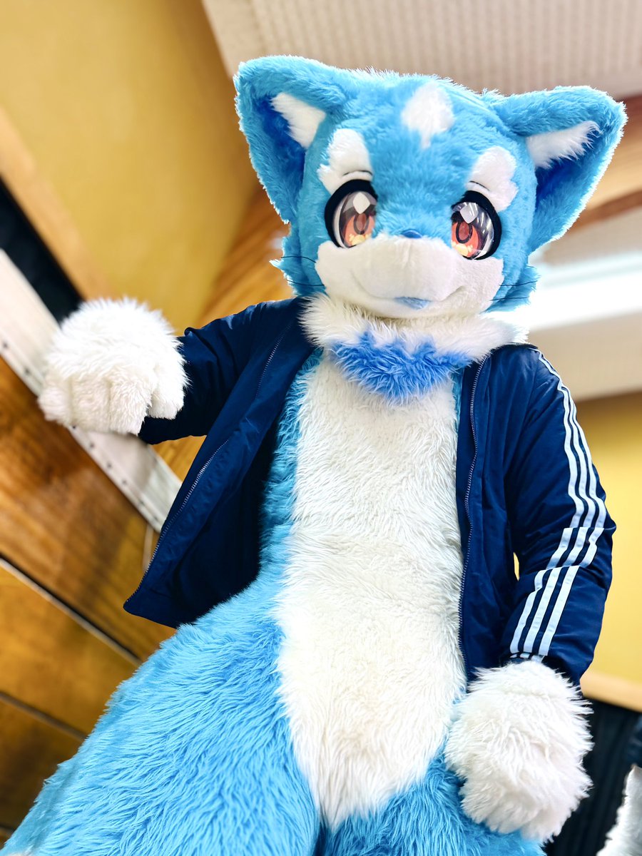 ボラーレ tweet media