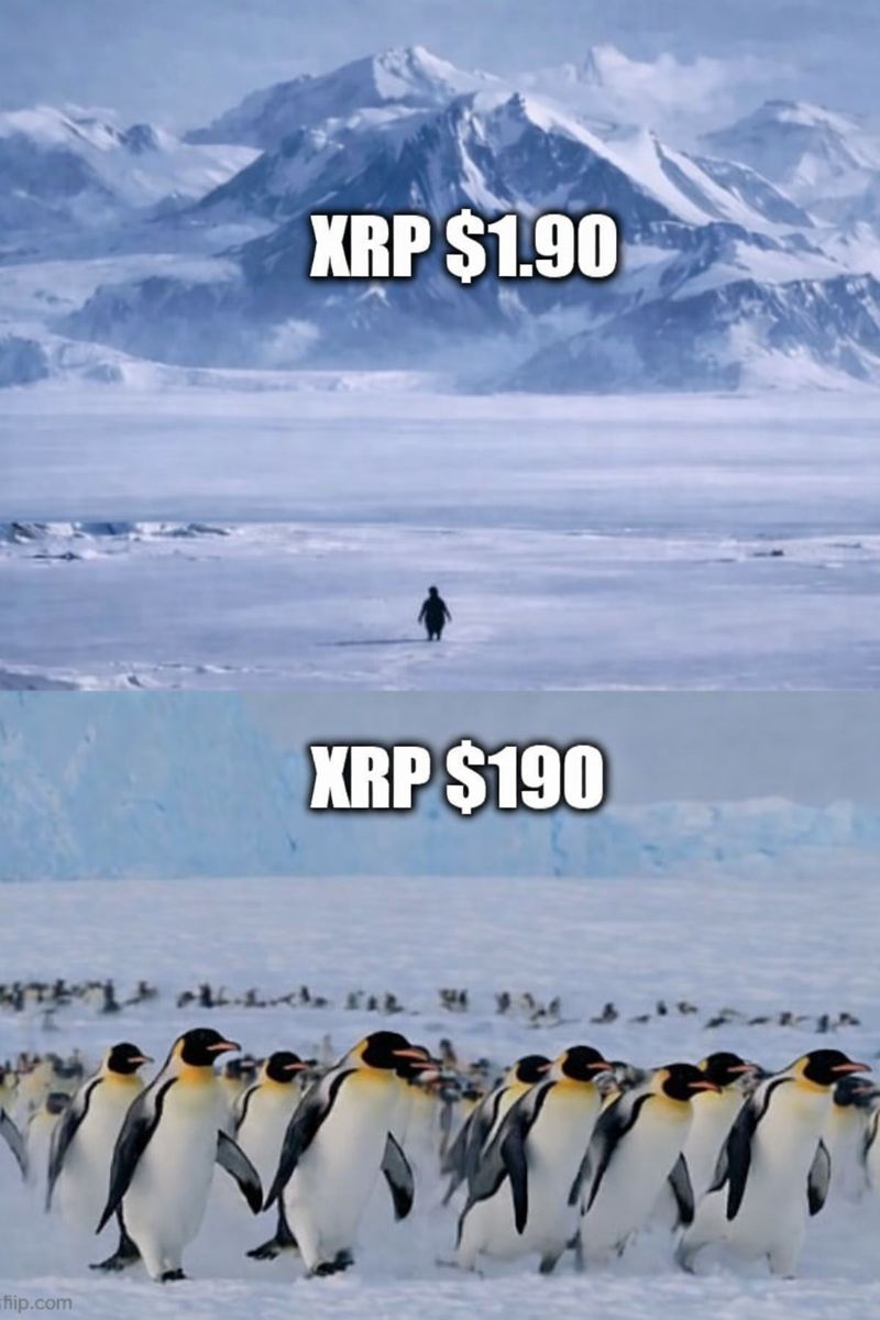 John Squire (@thecryptosquire) on Twitter photo 