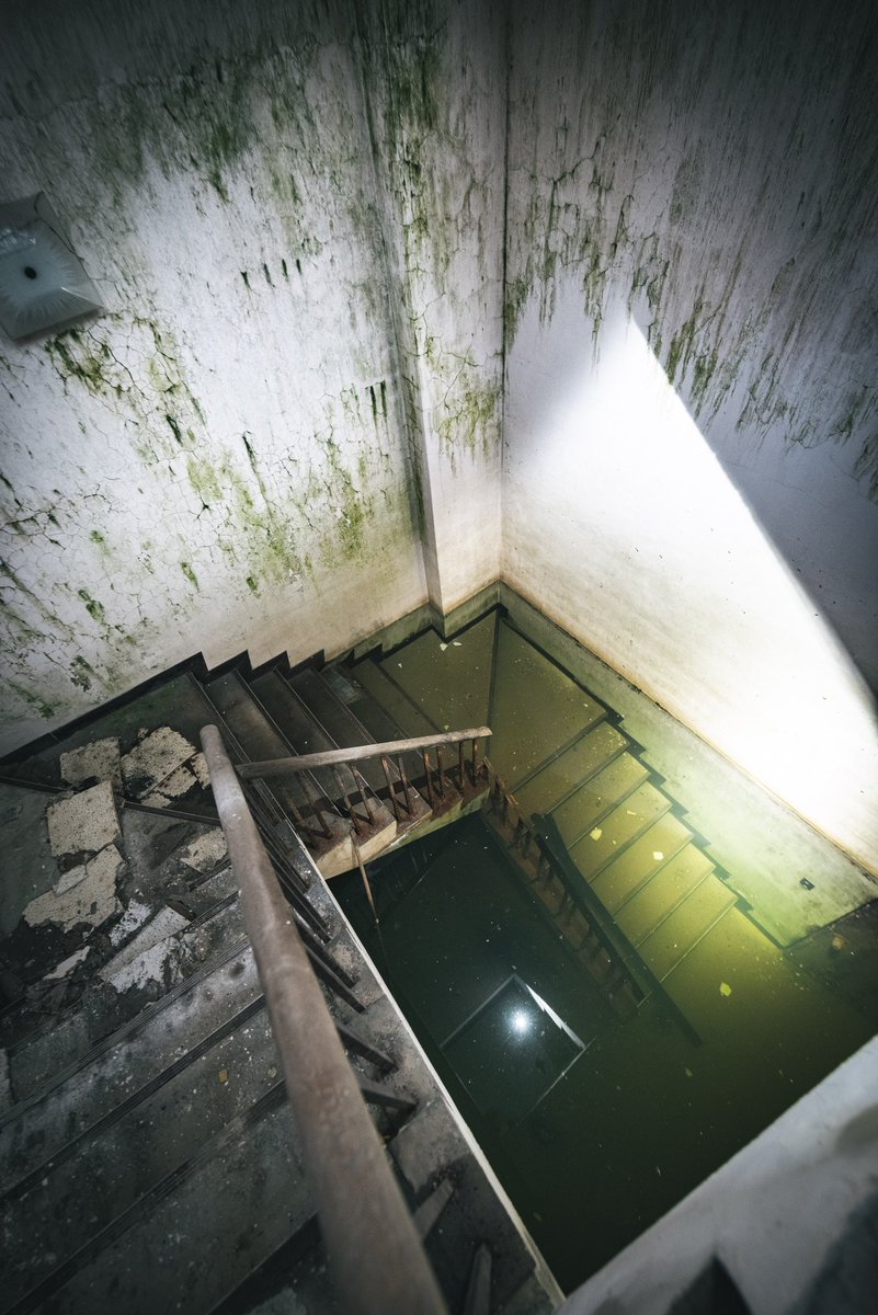 urbex_34's tweet photo. 水没した地下へと続く階段。下から何者かが這い上がって来そうな雰囲気がある。 https://t.co/z320kuiQnG