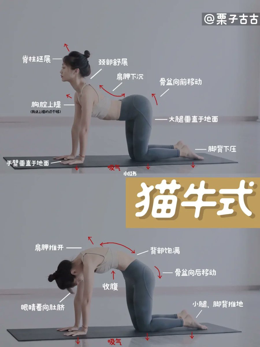 gregory89320839's tweet photo. # 3分钟晨起拉伸 唤醒身体活力  起床别猛坐！3个简单动作：猫牛式舒展腰背、脚踝绕环促循环、扩胸拉伸开肩颈，每天3分钟，开启清爽一天～   转存给家人，晨起健康不偷懒！ https://t.co/tllpWrie9H