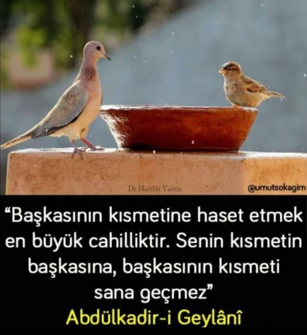 Dünya ibret alana
hikmet yeri.
Kıymet verene
mihnet  yeri...