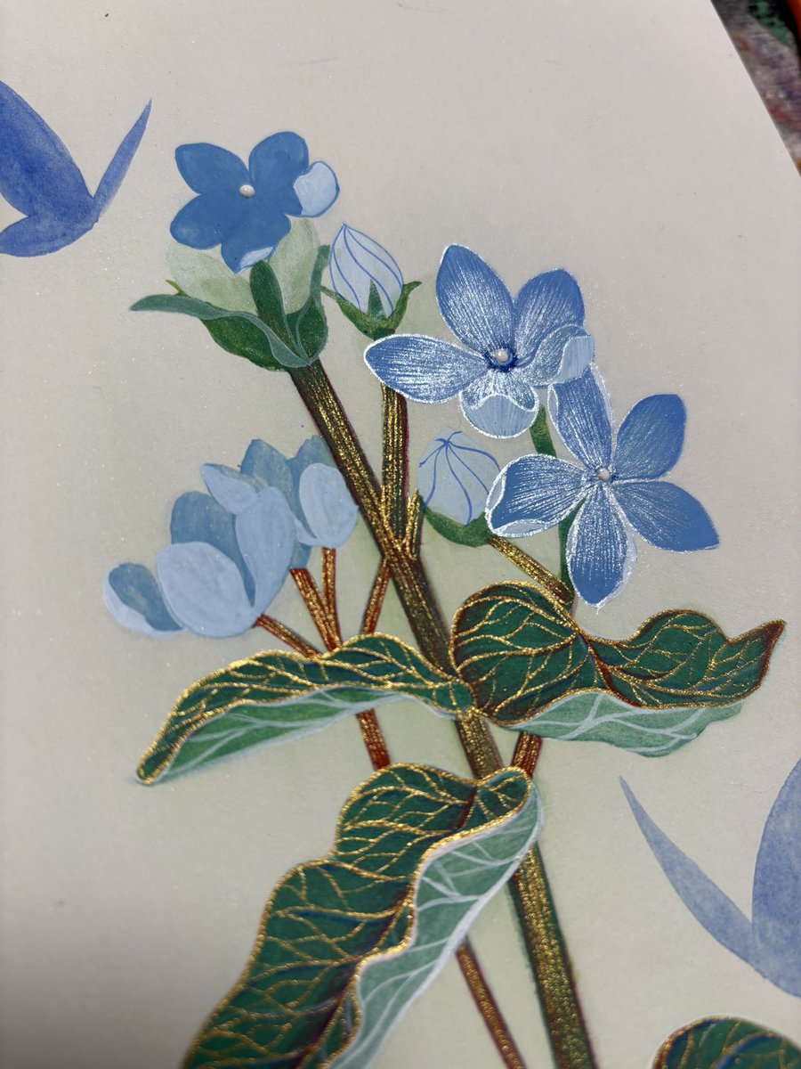 お疲れ様でした🦋
初のブルースター🦋
