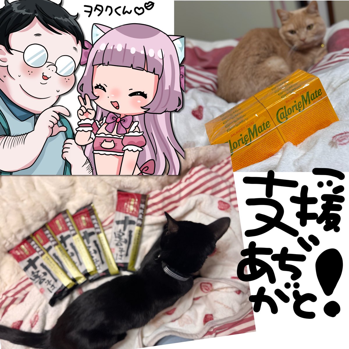 にゃこす(ΦωΦ)様おまとめページです☆ こんにゃこ〜こんにゃく〜😽 スマホ代を無事に払い終えたけど、WiFiは