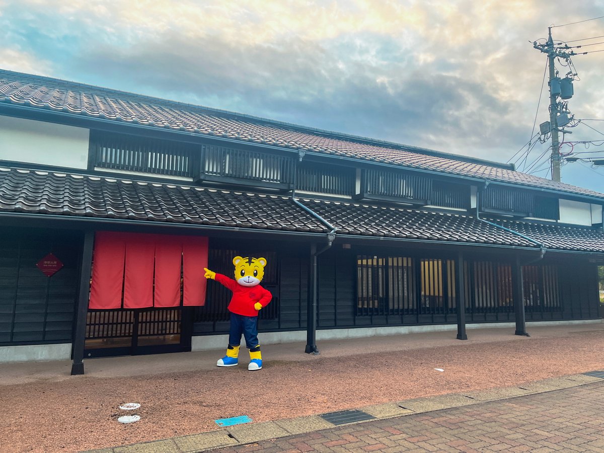 しまじろうでお願い致します しまじろうのわお 傑作選 5本の通販 by 999's shop｜ラクマ