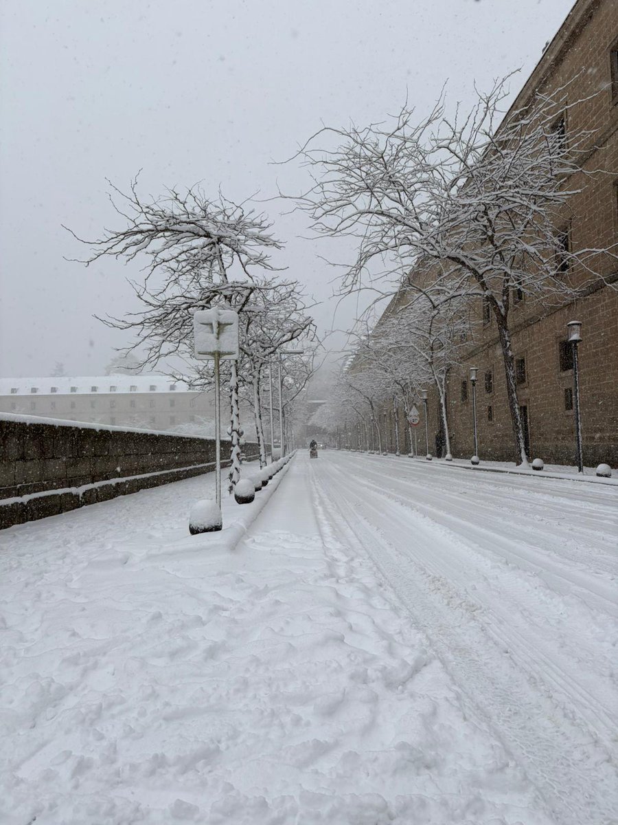 Parece que en 
#MADferia2026 no todo es teatro <a href="/madferia/">MADferia</a> <a href="/Artemad_asoc/">ARTEMAD</a> <a href="/AytoPinto/">Ayuntamiento de Pinto</a>