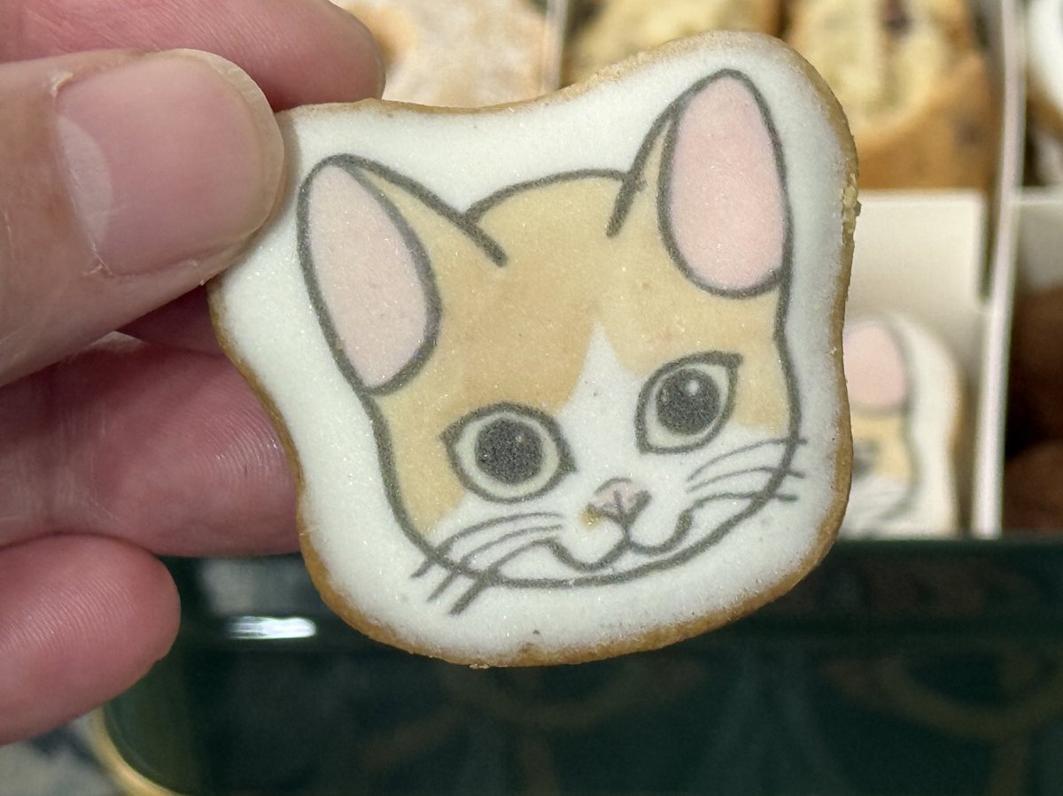 tei_nai's tweet photo. グッチのクッキー缶
9990円

これはクッキー代じゃなくて
ときめき代よね🥰

#ヒグチユウコ
#gucci https://t.co/83Vz9CSIts