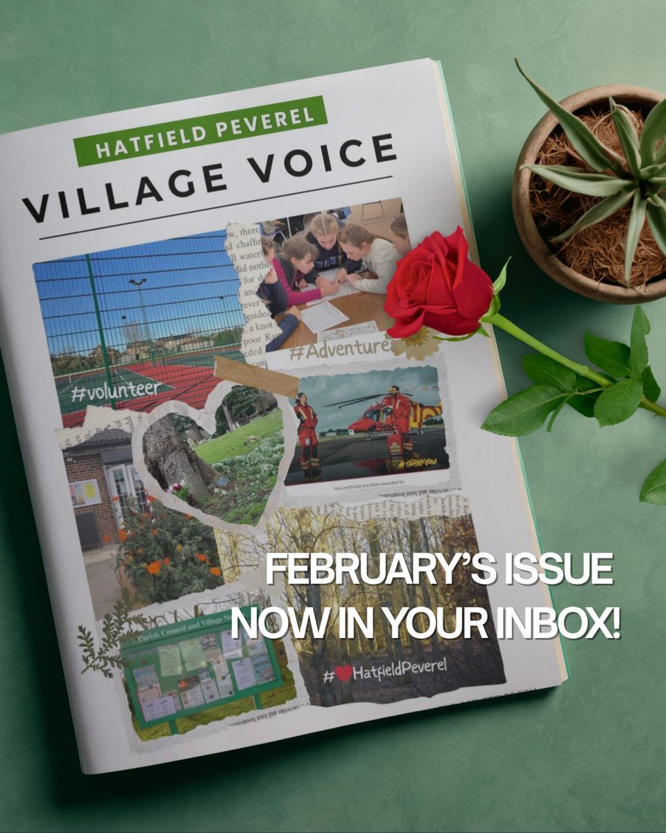 Hatfield Peverel Parish Council tweet media