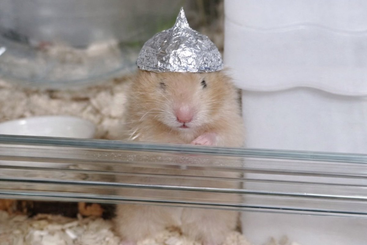 おまめ!!! (@omame_o0) on Twitter photo 