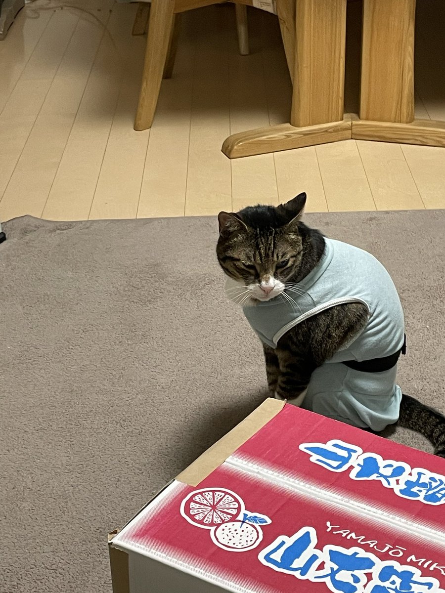 皆さんお疲れ様〜^_^