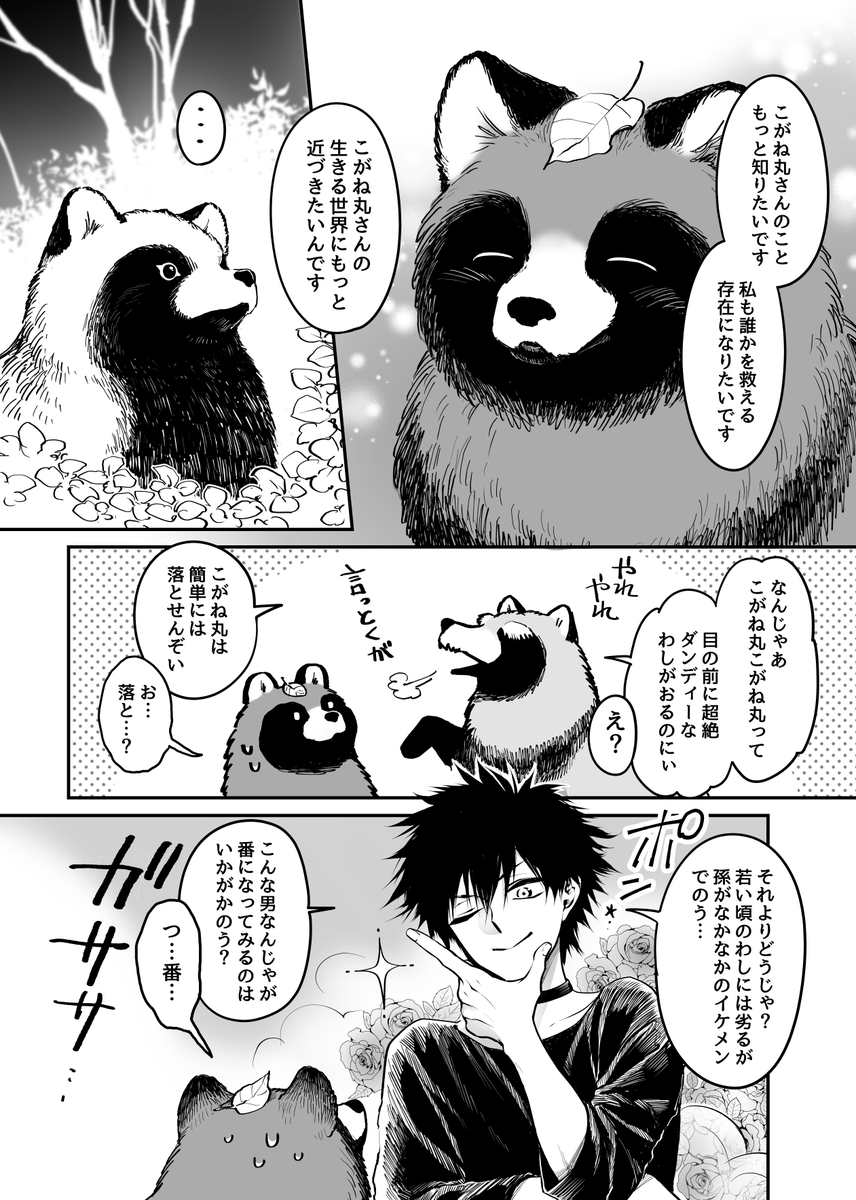 タヌキからの贈り物(2/3) 