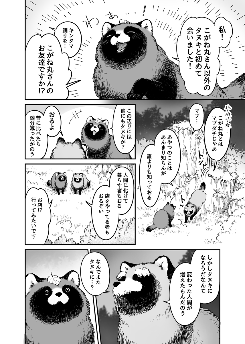 タヌキからの贈り物(2/3) 
