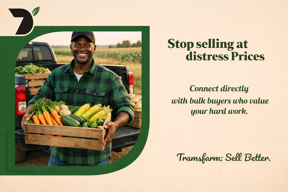 Hard work shouldn't end in distress sales.Too many farmers work for 4 months only to be cheated at the farm gate because they lack
options. @Tramsfarm is changing that. We’re connecting you directly with:
Restaurant owners
Bulk traders
Food processors
React,comment if interested
