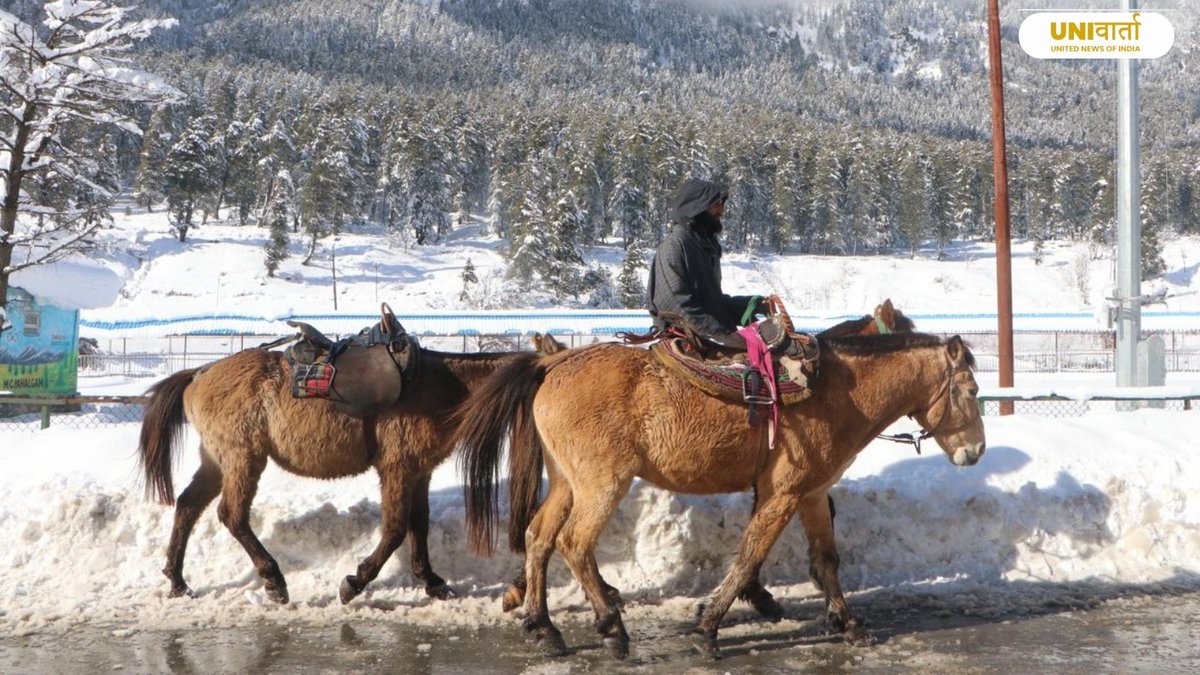 univartaindia1's tweet image. In Photos | आज हुई बर्फबारी के बाद पहलगाम का प्रसिद्ध पर्यटन स्थल शीतकालीन वंडरलैंड में तब्दील हो गया।

📸: Shah Junaid/UNI 

#Pahalgam | #FreshSnowfall | #WinterWonderland | #KashmirTourism | #SnowCovered |