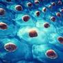 Chemistryaward's tweet image. Brain organoids reveal glioblastoma's secrets and therapy resistance
More Information: research-chemistry.blogspot.com
#sciencefather #researchchemistry #biochemistry #scientist #professor #phd #awards #tags #science