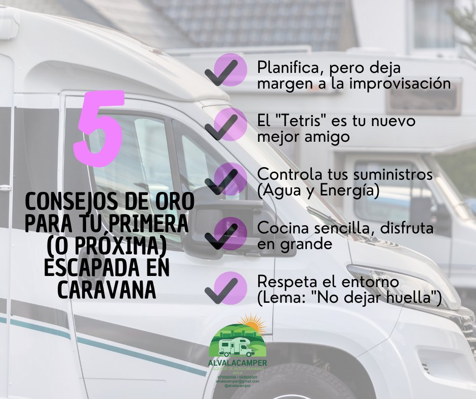 ALVALACAMPER tweet media