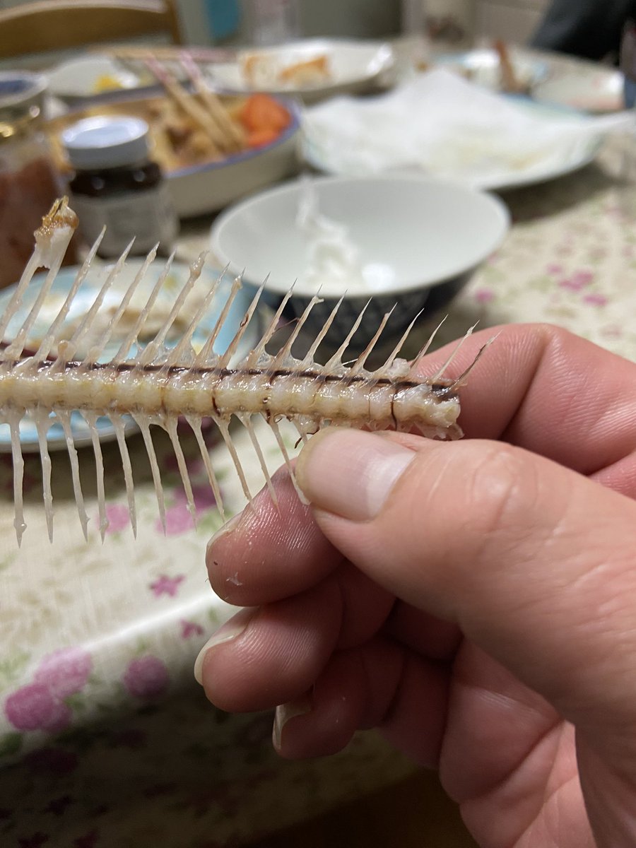 藤吉（ふじよし） (@huziyoshi1) / Posts / X