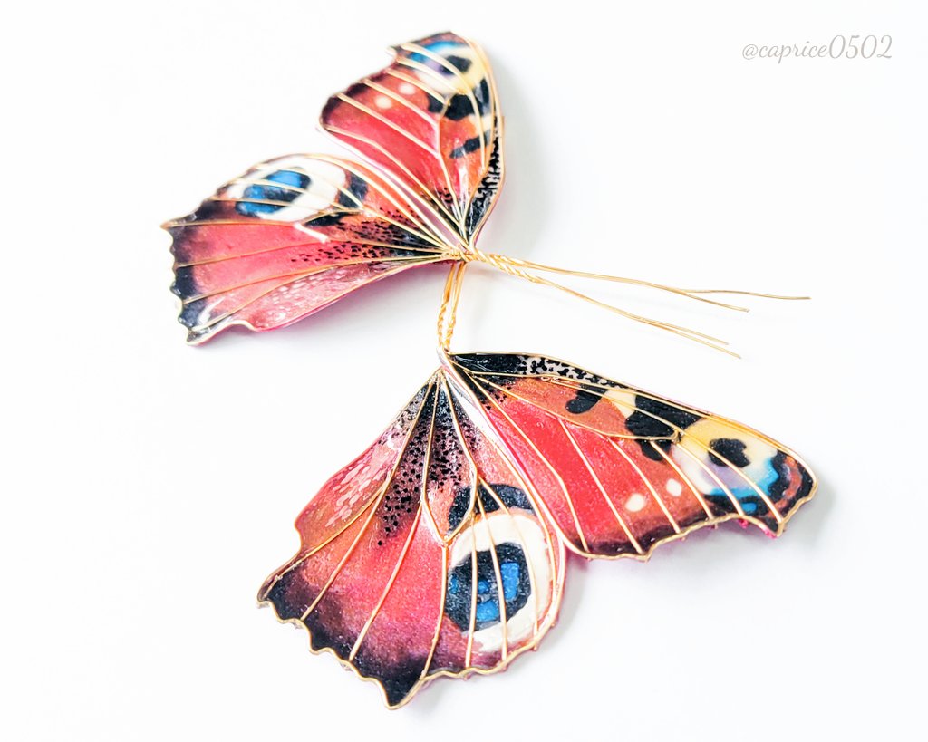 ちら見せ👀】 華やかな翅をはばたかせ もうそろそろ旅に出る その蝶は