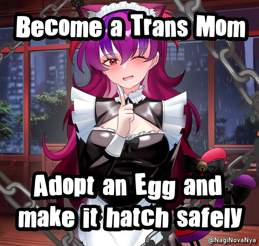 egg_irl #Transfem Meme redd.it/1qp57mz