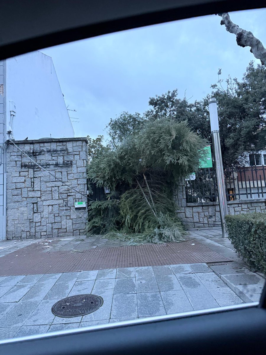 Abel Bautista tweet media