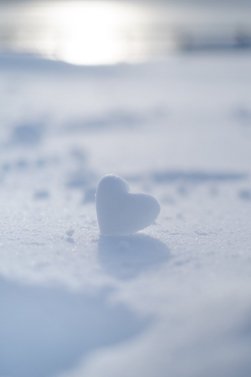 kosan_055's tweet photo. この雪がいつか溶けても
わたしの気持ちは変わらないまま. https://t.co/oz6teXXT0w