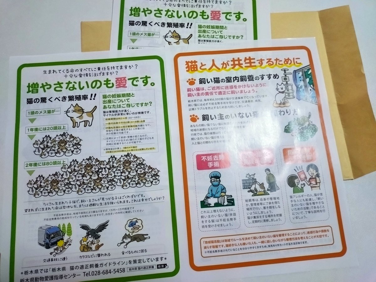 仕事帰り道中・代表から打ち合わせ?（勿論お店に駐車?） 栃木県動物 