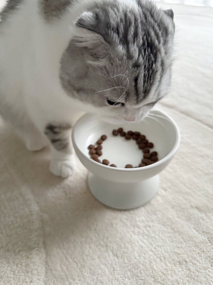 もぐもぐ😋