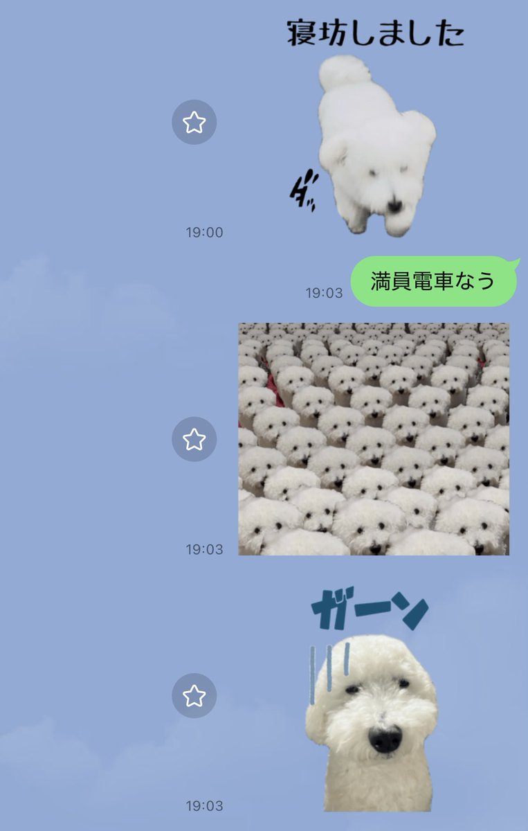 朗らかな犬 tweet media