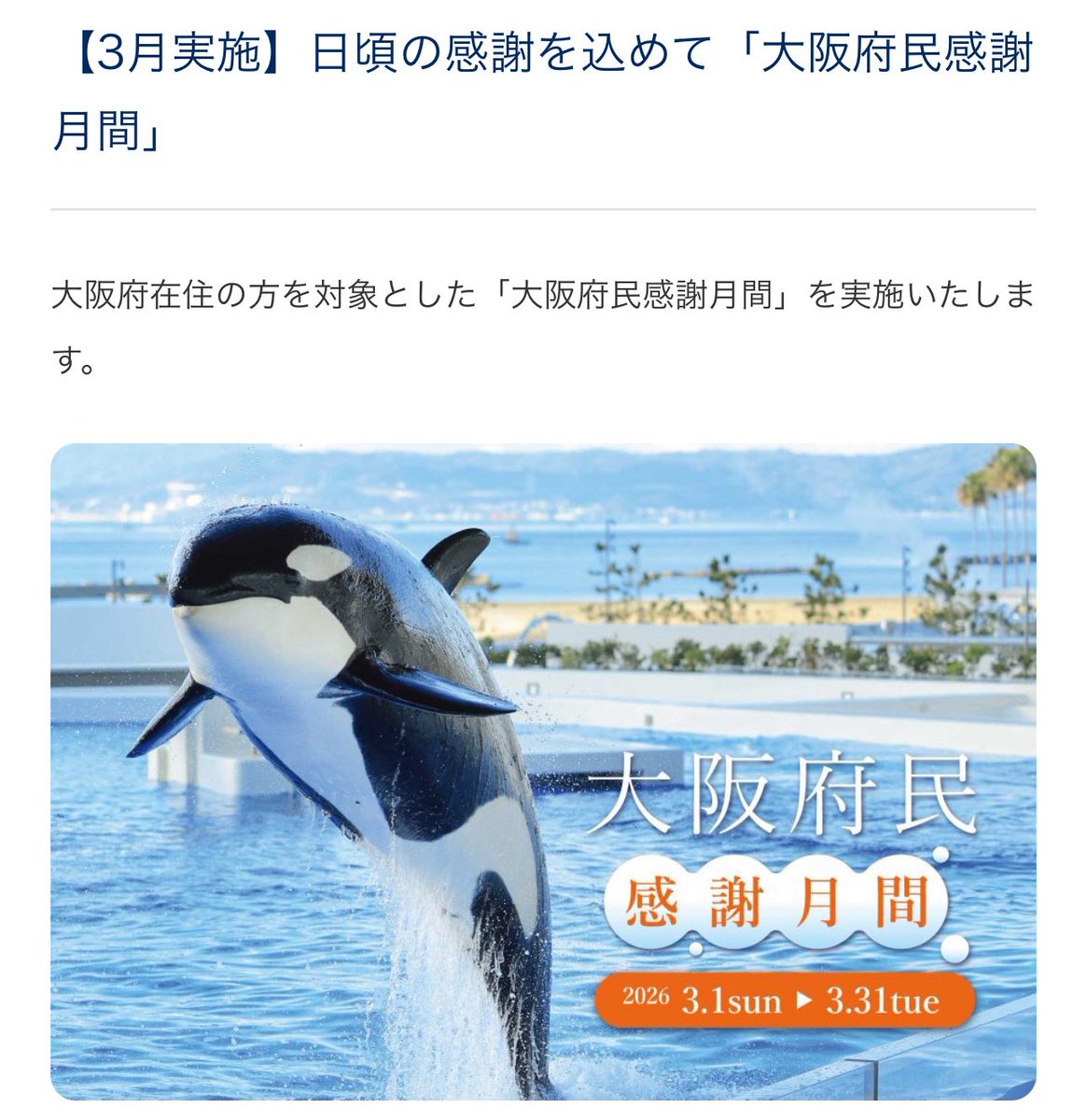 華@大阪メインのお得スキー (@hana870224) / Posts / X