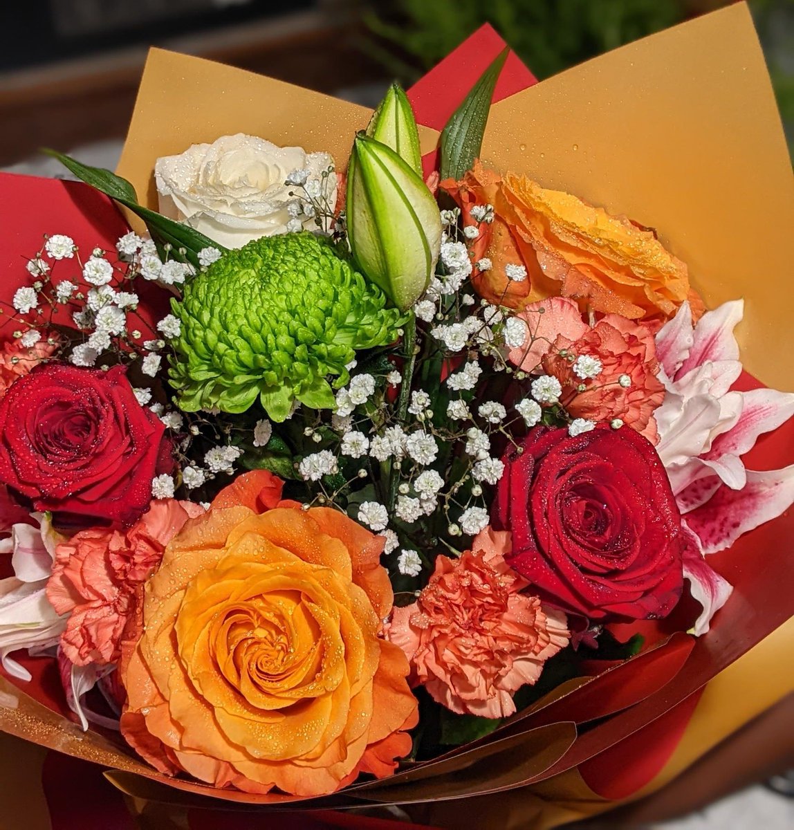 Le pétale🌹 tweet media