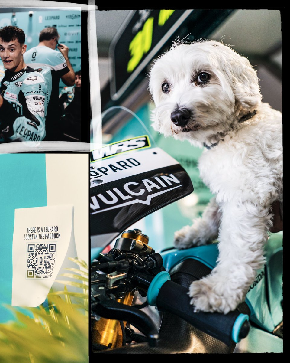 Le0pardRacing's tweet photo. Season Recap - Chapter 16
Memories from Misano ๐ฆ
#SanMarinoGP ๐ธ๐ฒ #BeLe0pard #Moto3 https://t.co/B6QnCD9r62