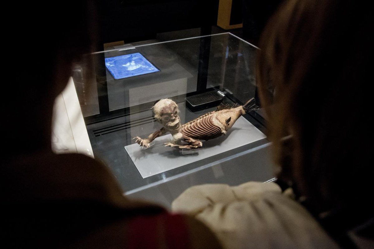 Archives nationales de France tweet media