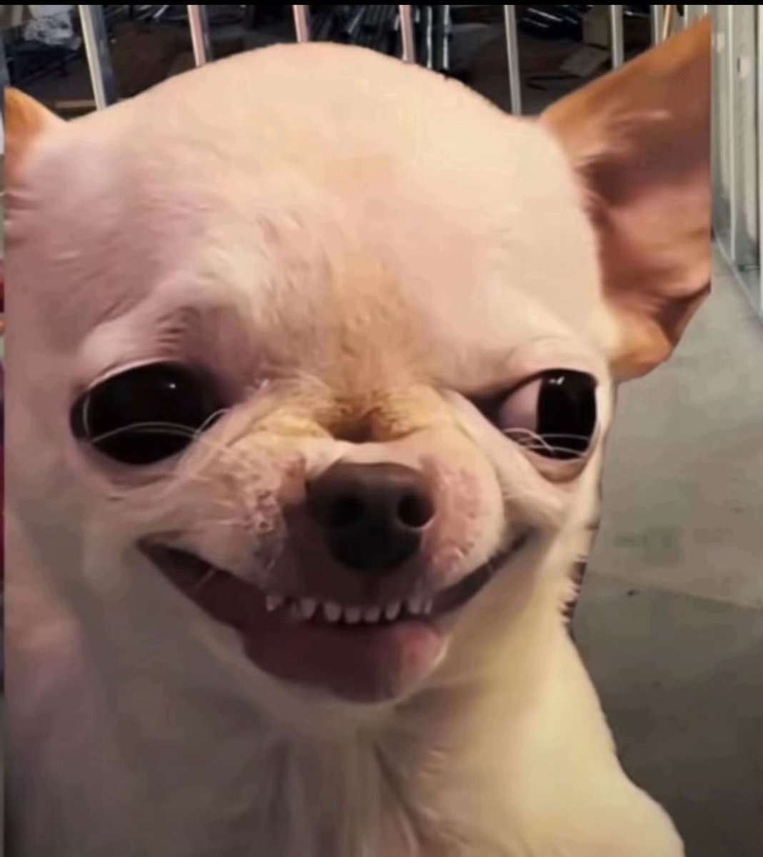 OS_Failure's tweet image. الناس تدير فحسابات الريح وخايفين على صوالحهم.
لحساب لي تدير فيه @yemmatmokrane :
الريح يڨلع النخل ولا لا!!!