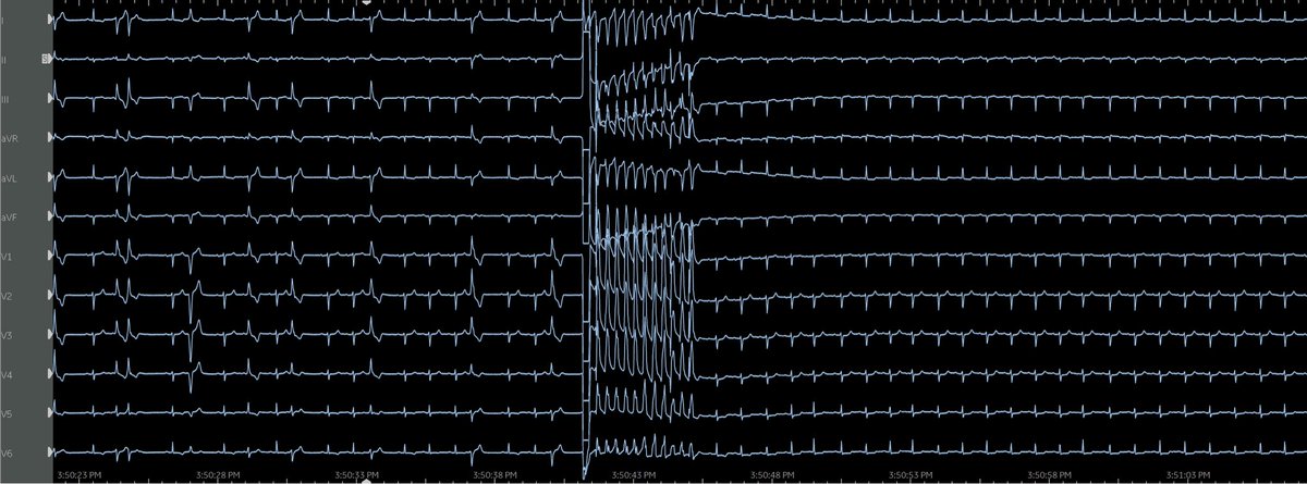 Fatima Ezzeddine tweet media