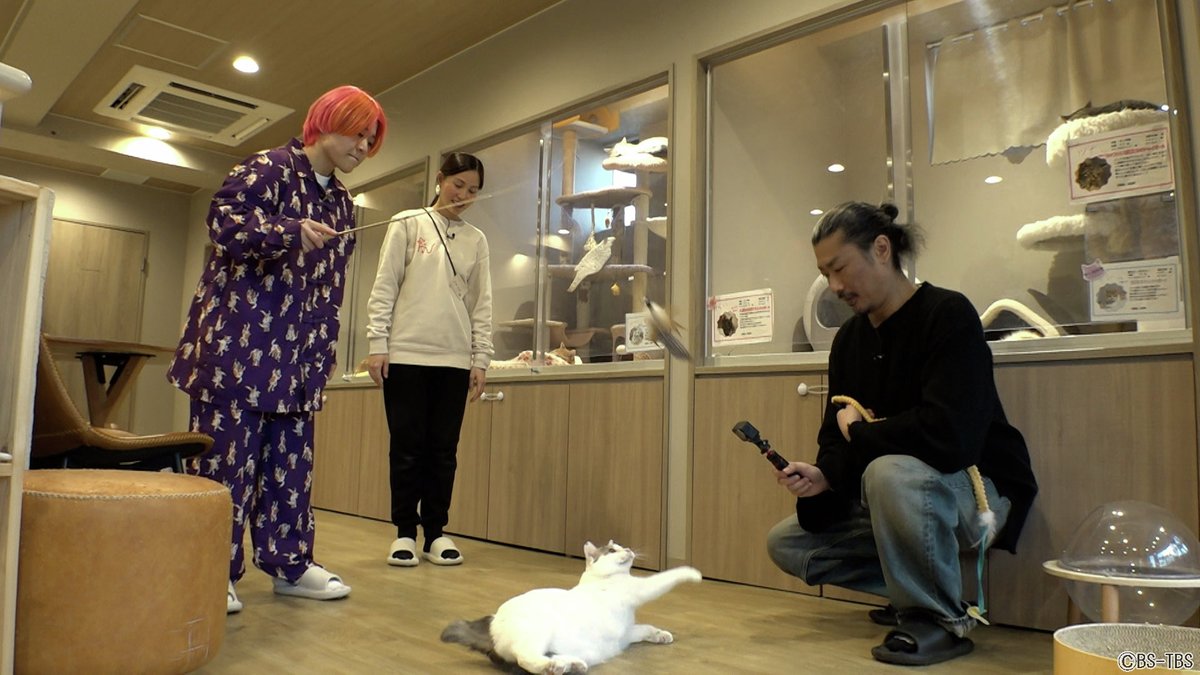 ヒロシ (@hiroshidesu0214) / Posts / X