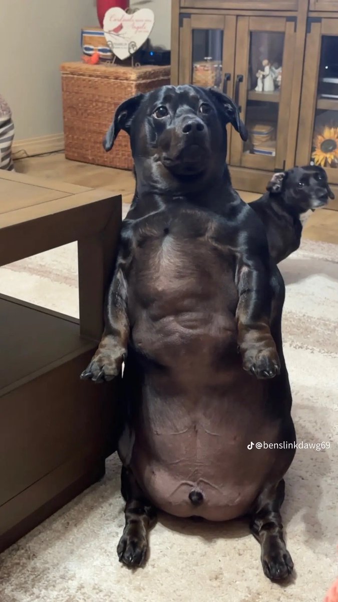 Prints 👑 tweet media