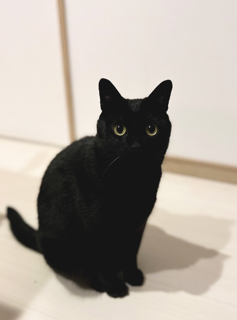 G_vYbONbgAAjuUX.jpg?format=jpg