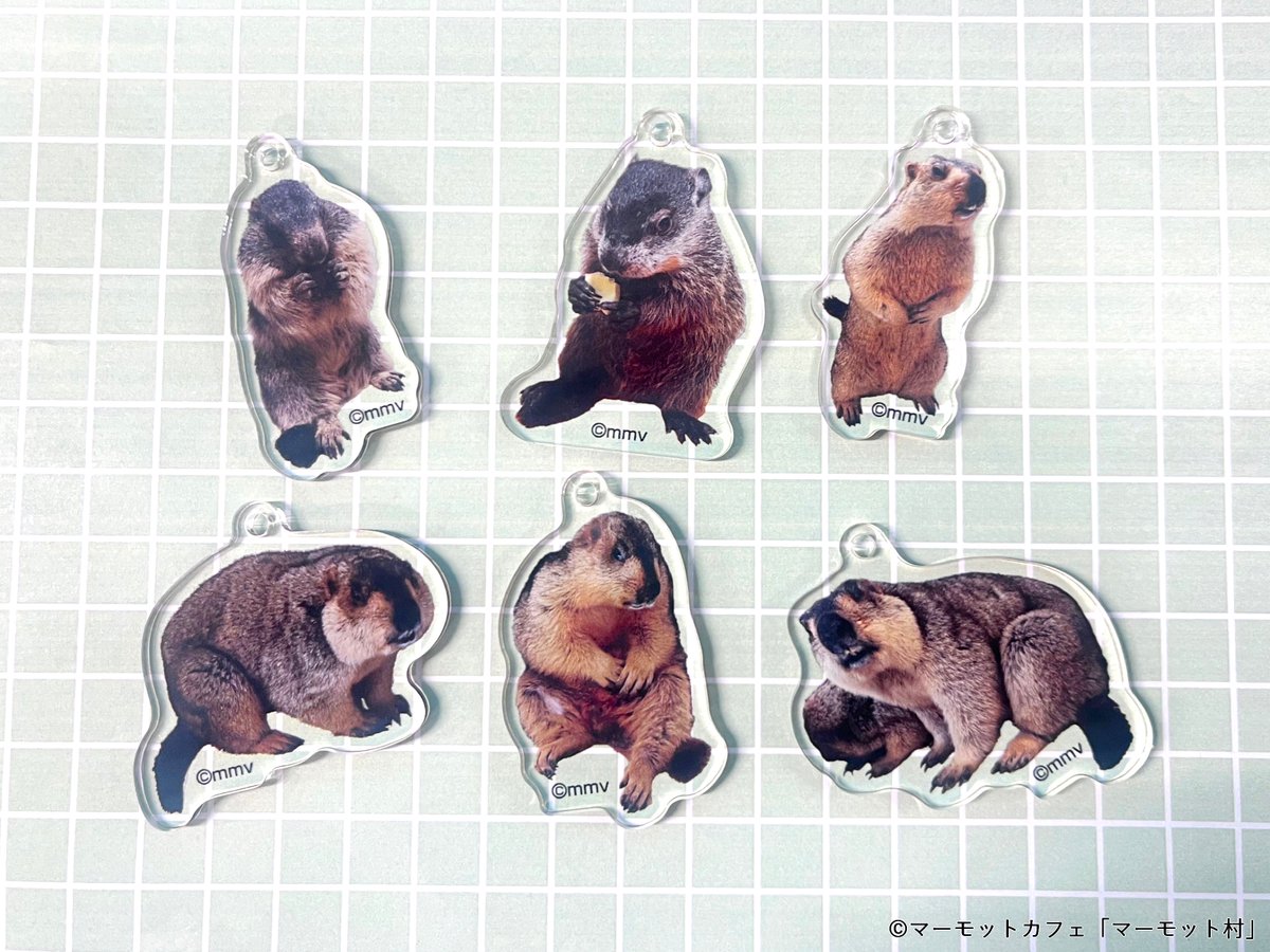 マーモットカフェ「マーモット村」めじるしチャームコレクション