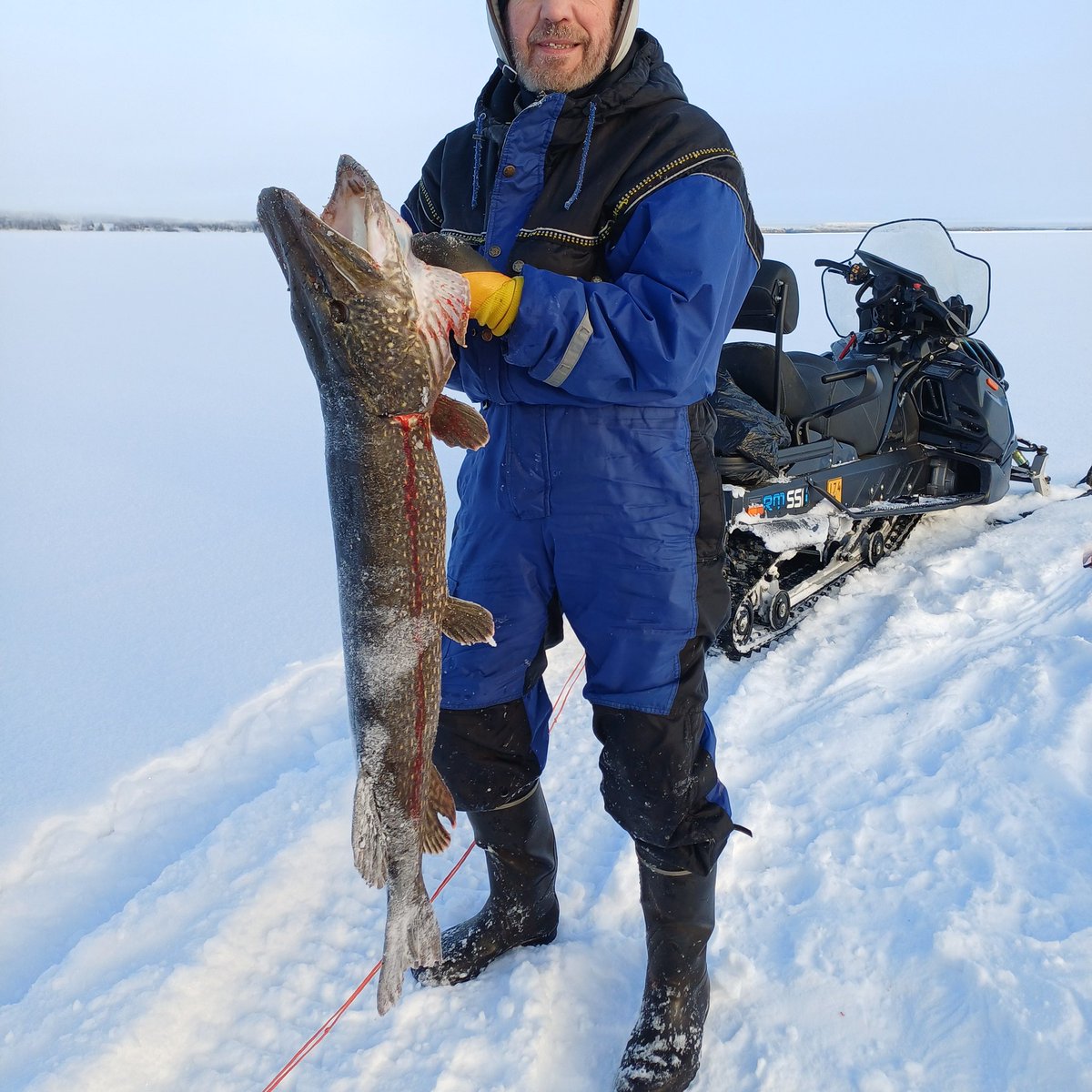 Ritva Komulainen tweet media