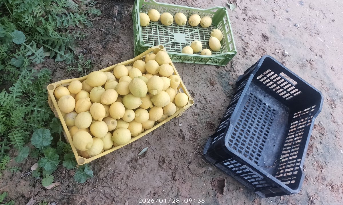 OS_Failure's tweet image. نحيهم قبل ما يجي ينحيهم