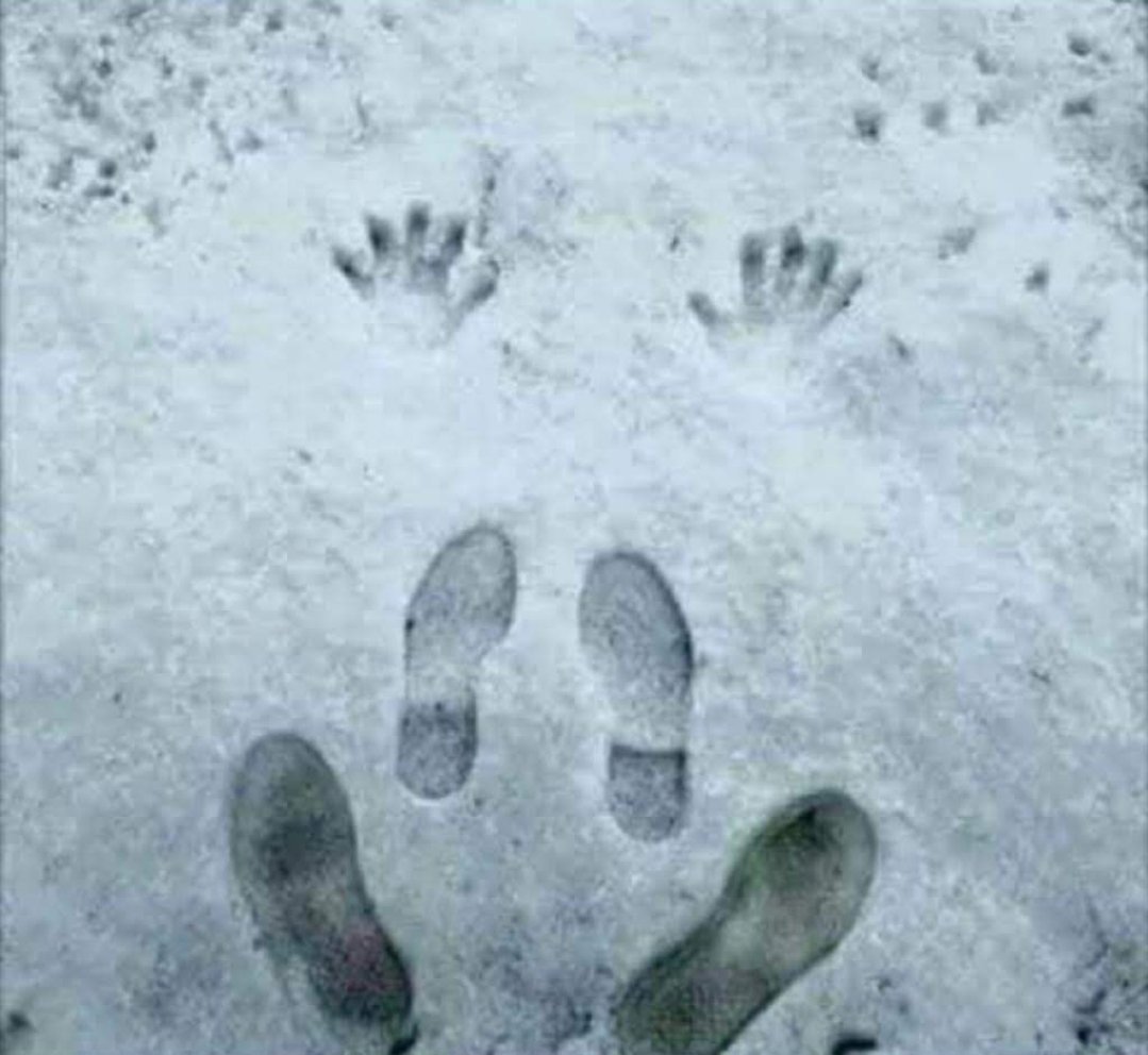 Mikähän eläin tästä on mennyt?