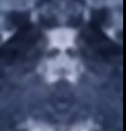 Herbertonic tweet media