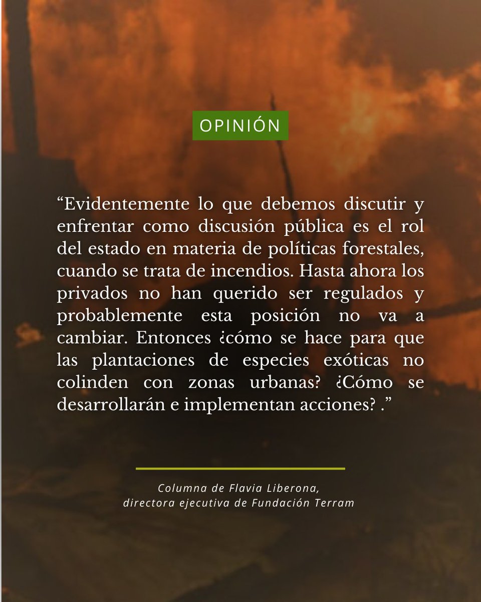 Fundación Terram tweet media