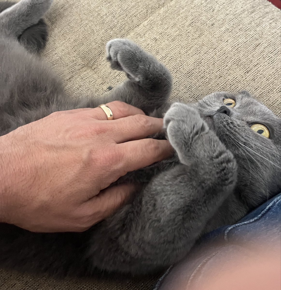 İnsanoğlu tam bir çöküş döneminde!
Geriye hayvan sevgisi kalıyor.😉