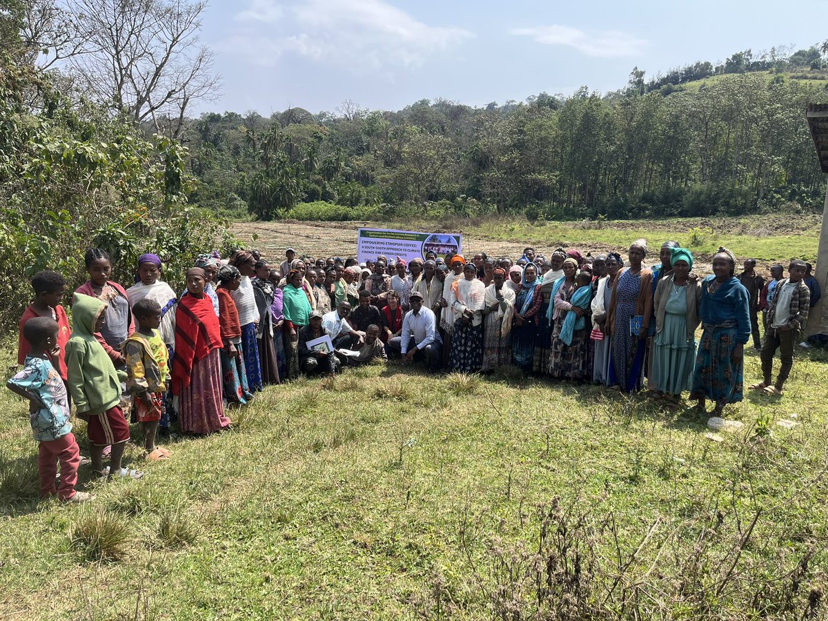 Ethiolatin Coffee tweet media