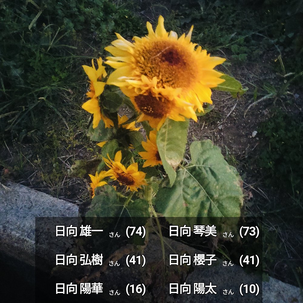 many_taoru_scp's tweet image. 