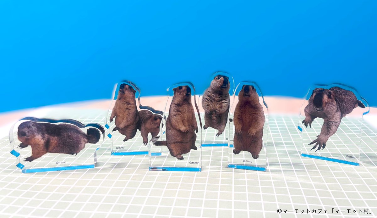 マーモットカフェ「マーモット村」アクリルブロックコレクション